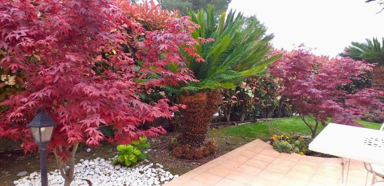 Villa Gaia - Luxury Villa, Pool & Wellness Rooms Bordighera Exterior photo