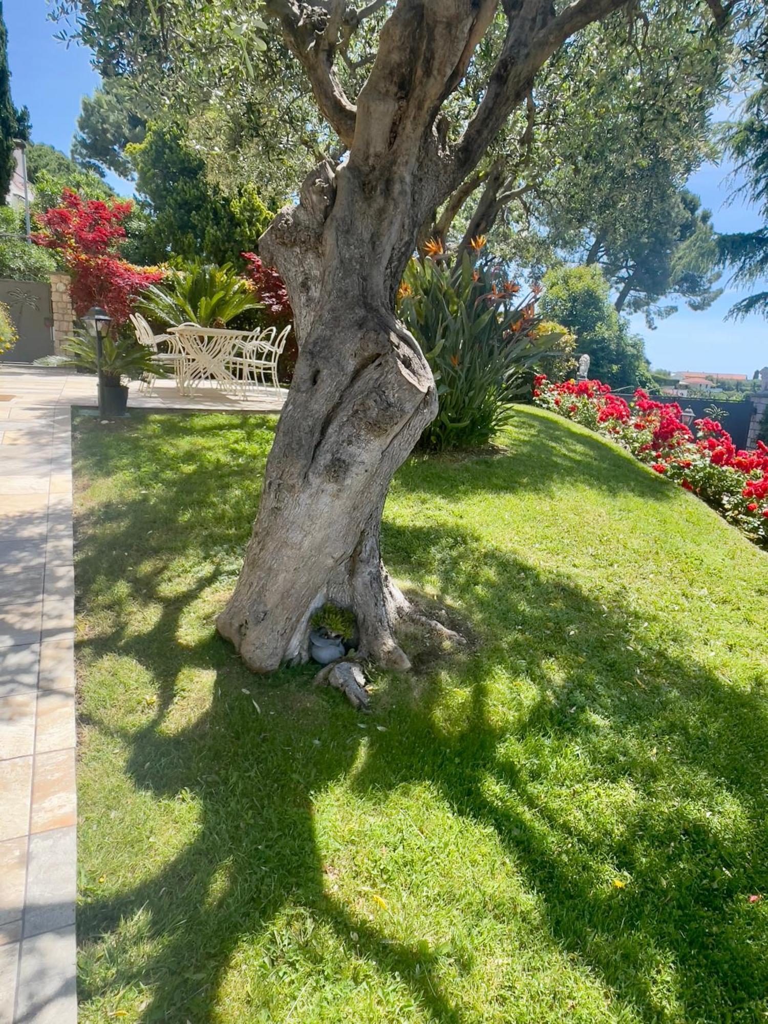 Villa Gaia - Luxury Villa, Pool & Wellness Rooms Bordighera Exterior photo